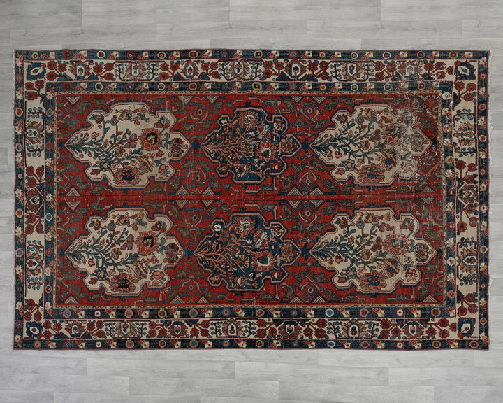 Red Oushak Rug 6' 11" x 10' 3" | No. VR25677