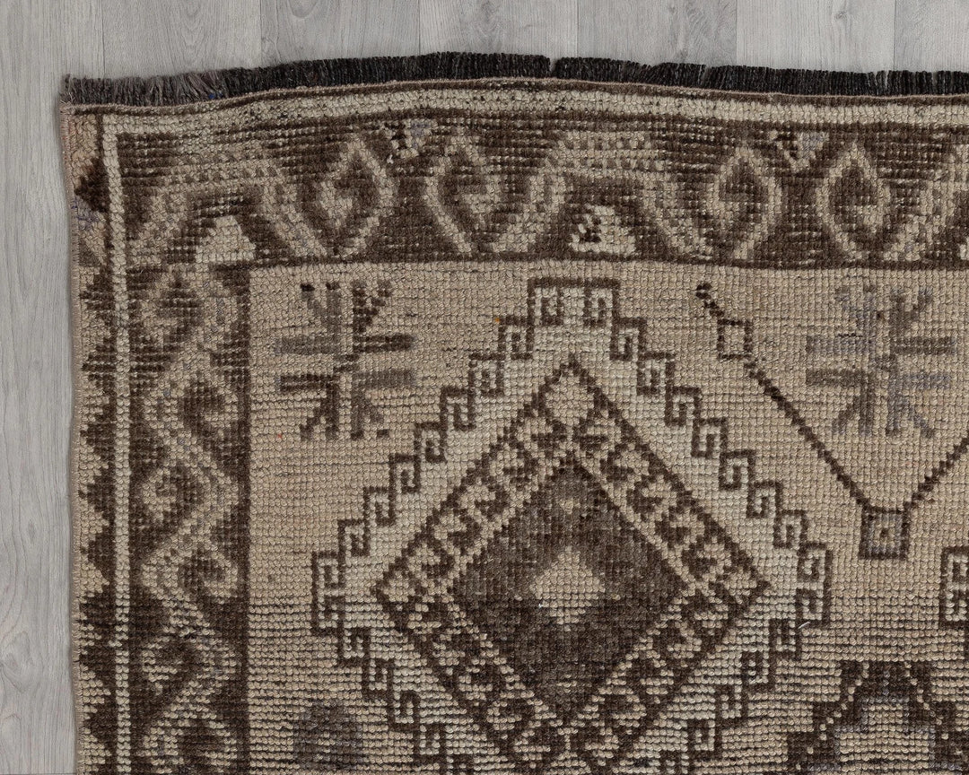 Brown Runner Rug 4' x 10' | No. VR28247