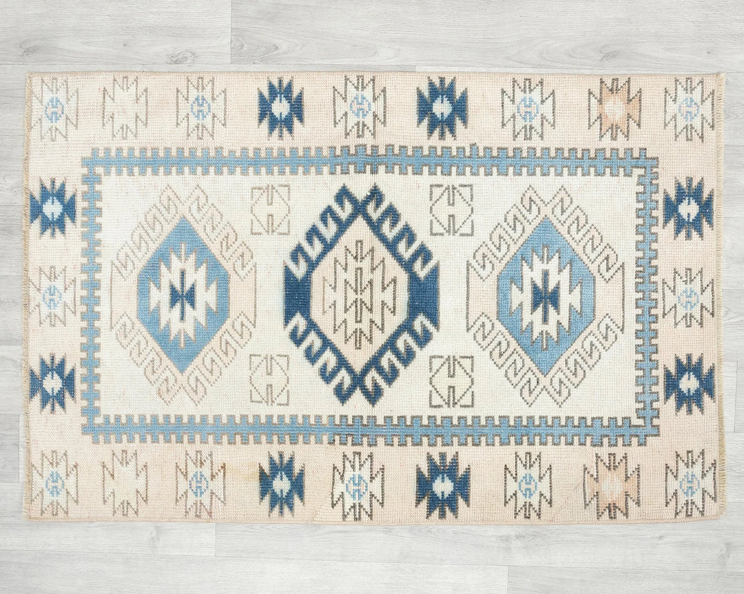 Oushak Rug 2' 8" x 4' | No. VR29439