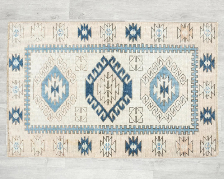 Oushak Rug 2' 8" x 4' | No. VR29439