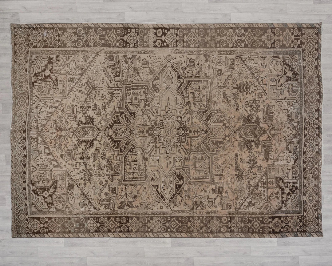 Beige Turkish Oushak Rug 9' x 12' 4" Hand-Knotted | No. VR30788