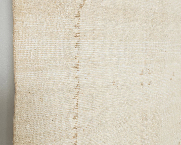 Beige Runner Rug 3' 11" x 11' 10" | No. VR32256