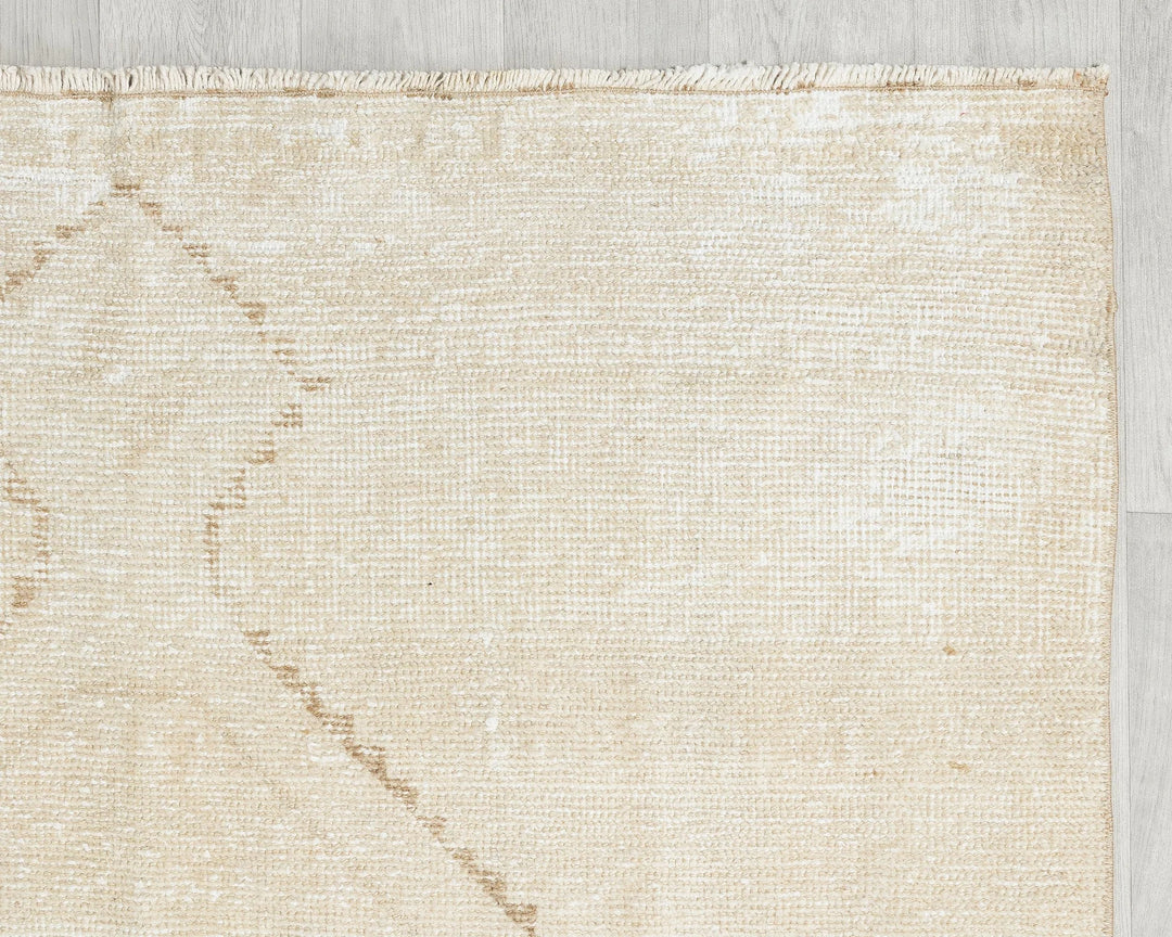 Beige Runner Rug 3' 11" x 11' 10" | No. VR32256