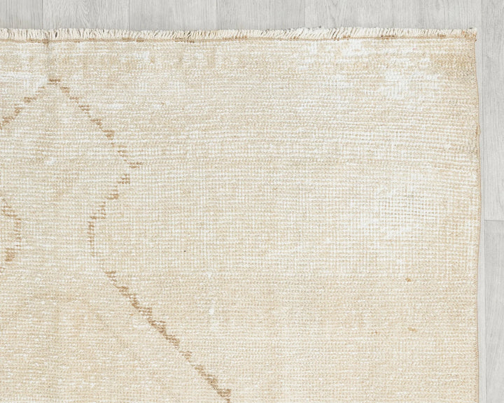 Beige Runner Rug 3' 11" x 11' 10" | No. VR32256