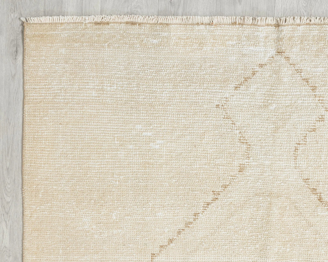 Beige Runner Rug 3' 11" x 11' 10" | No. VR32256