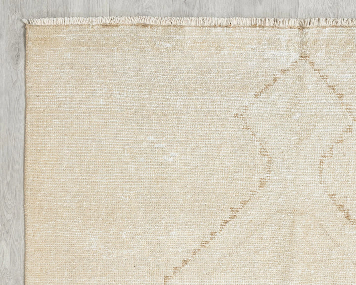 Beige Runner Rug 3' 11" x 11' 10" | No. VR32256
