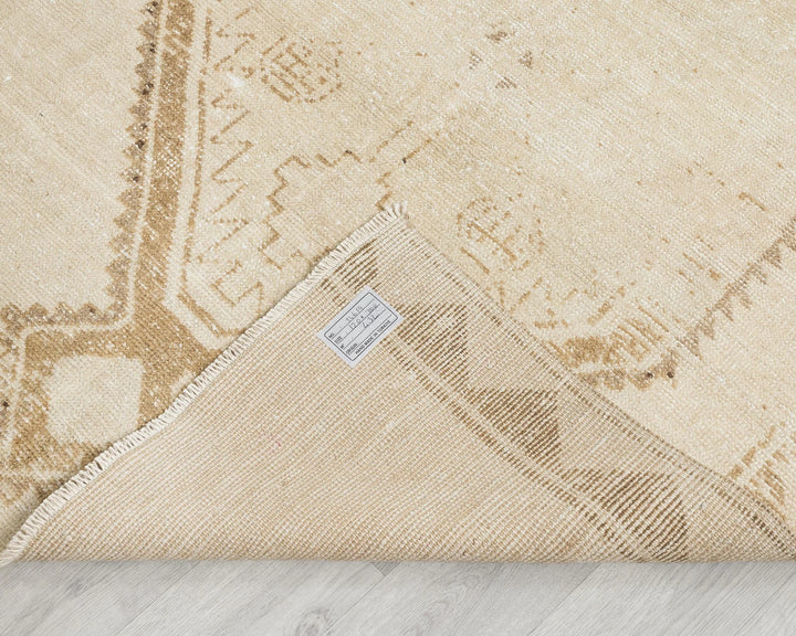 Beige Runner Rug 3' 11" x 11' 10" | No. VR32256
