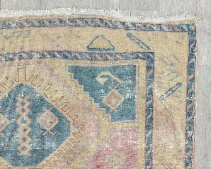 Blue Runner Rug 3' 10" x 10' 5" | No. VR37270