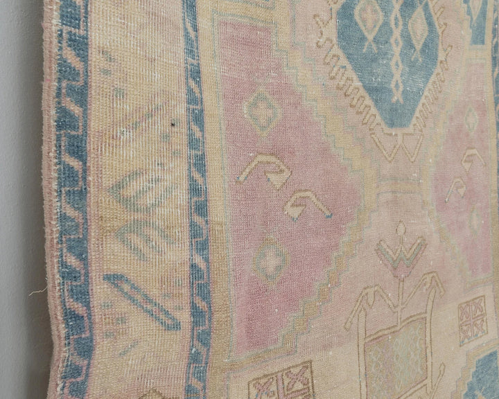 Blue Runner Rug 3' 10" x 10' 5" | No. VR37270