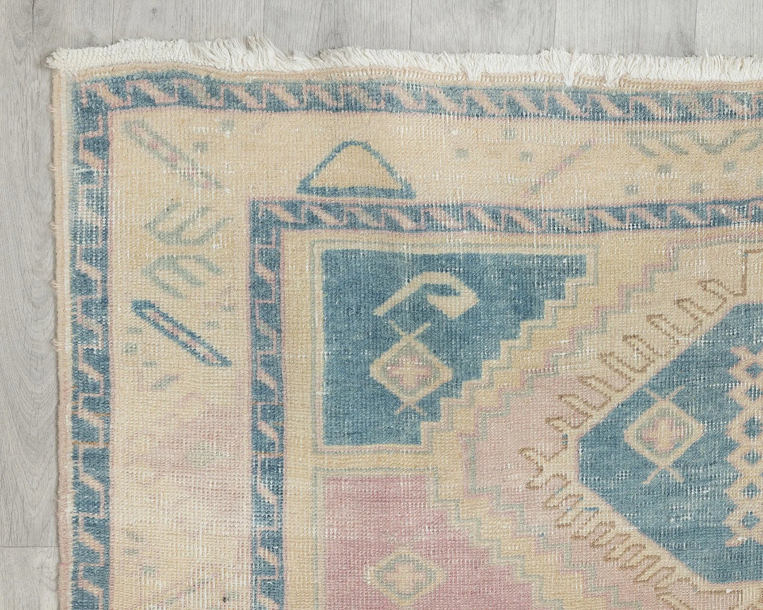 Blue Runner Rug 3' 10" x 10' 5" | No. VR37270