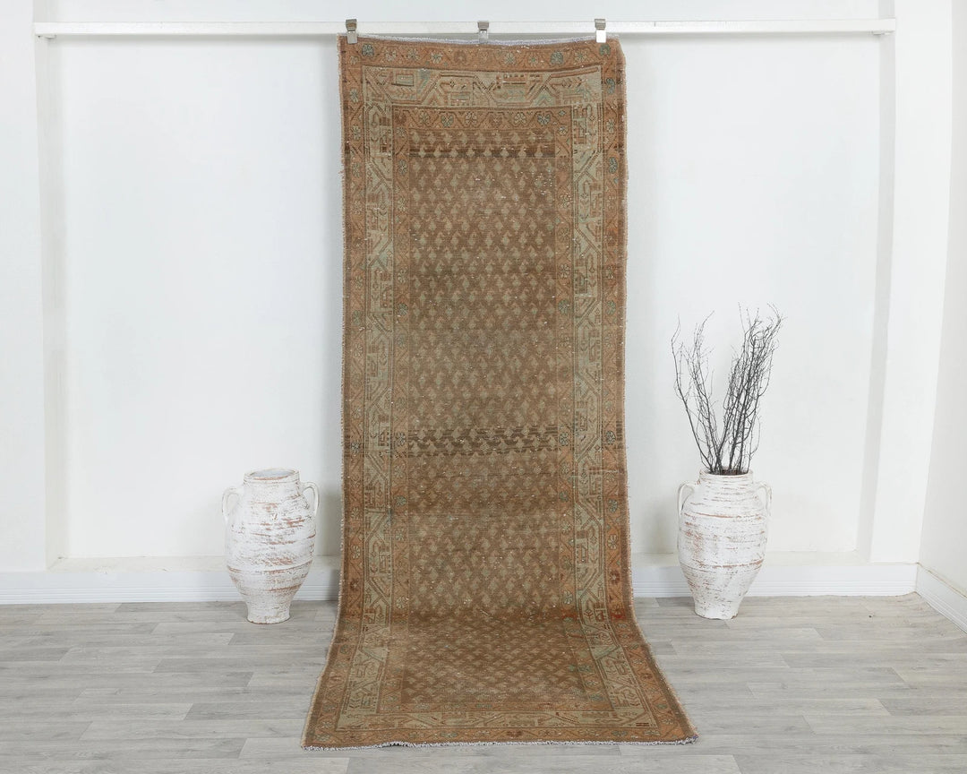 Brown Runner Rug 3' 5" x 10' 4" | No. VR39712