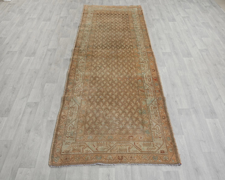 Brown Runner Rug 3' 5" x 10' 4" | No. VR39712