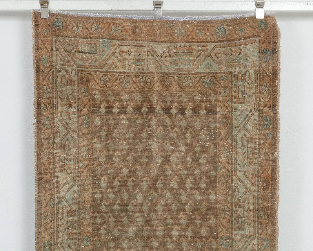 Brown Runner Rug 3' 5" x 10' 4" | No. VR39712
