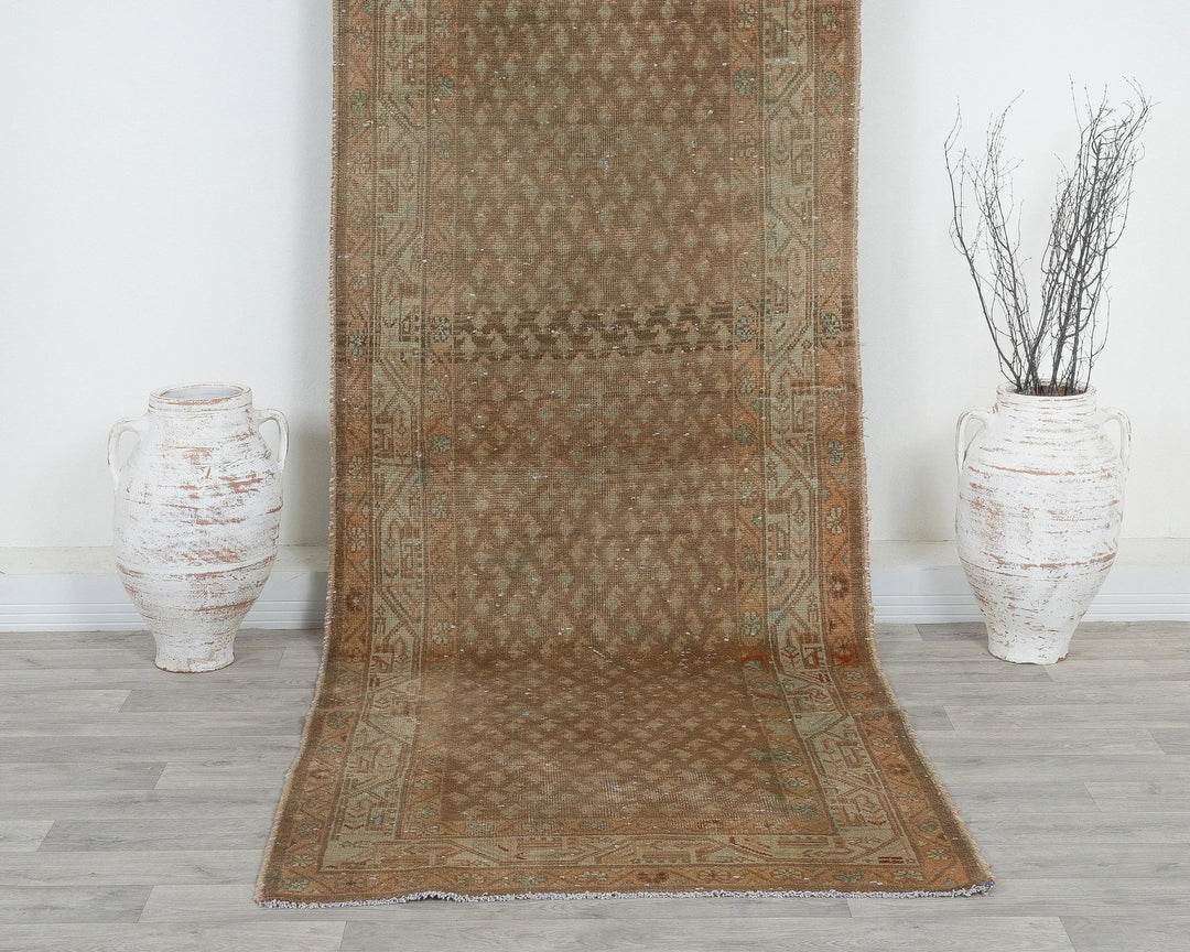Brown Runner Rug 3' 5" x 10' 4" | No. VR39712