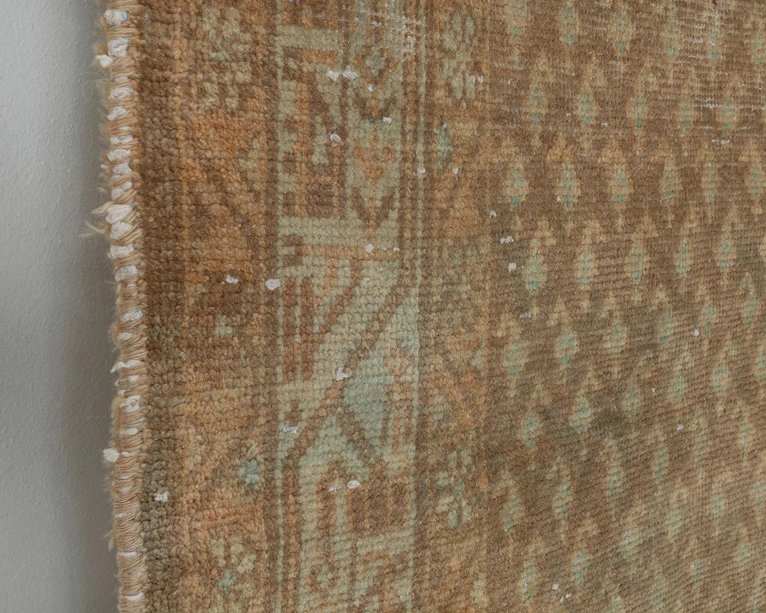 Brown Runner Rug 3' 5" x 10' 4" | No. VR39712