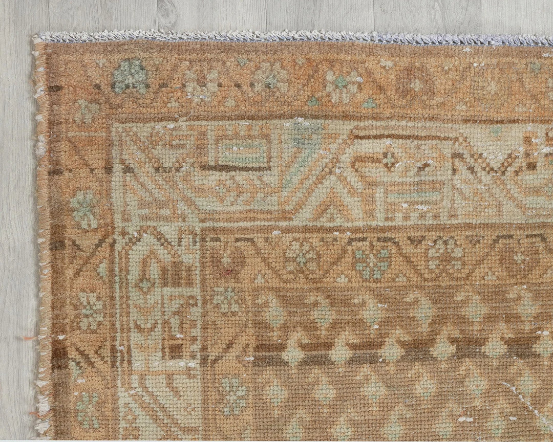 Brown Runner Rug 3' 5" x 10' 4" | No. VR39712