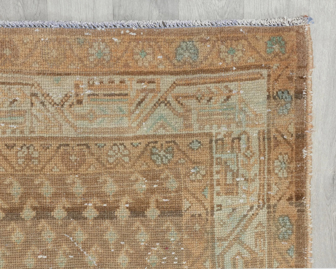 Brown Runner Rug 3' 5" x 10' 4" | No. VR39712