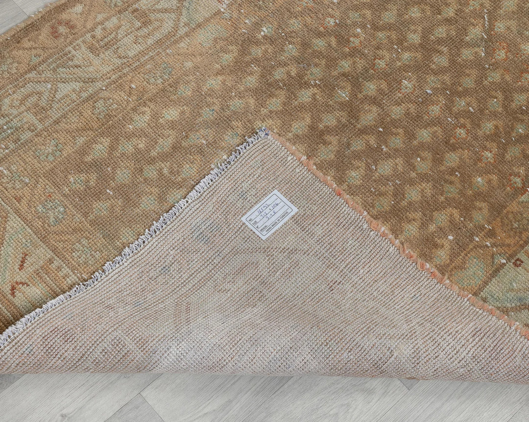 Brown Runner Rug 3' 5" x 10' 4" | No. VR39712