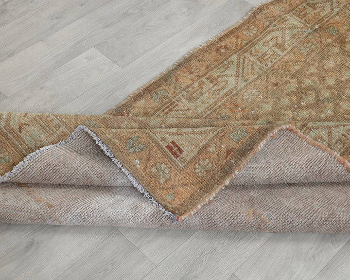 Brown Runner Rug 3' 5" x 10' 4" | No. VR39712