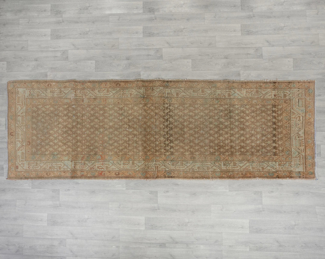 Brown Runner Rug 3' 5" x 10' 4" | No. VR39712