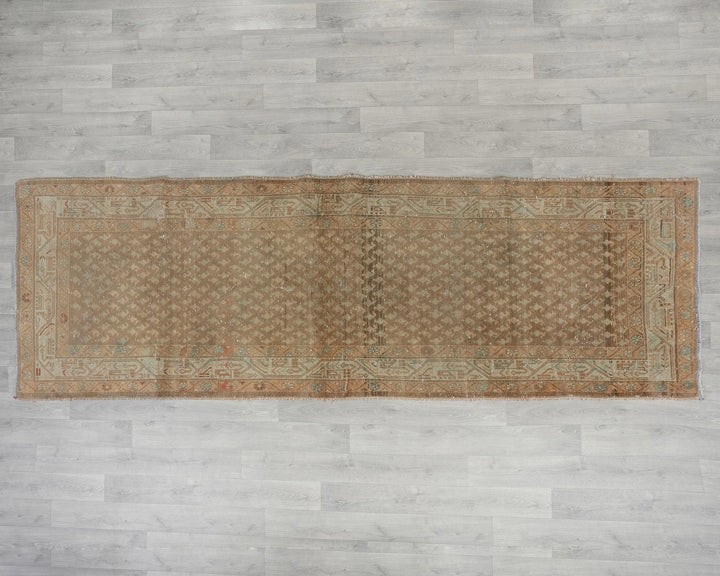Brown Runner Rug 3' 5" x 10' 4" | No. VR39712