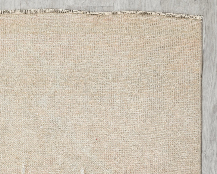 Neutral Runner Rug 3' 2" x 12' 8" | No. VR39857