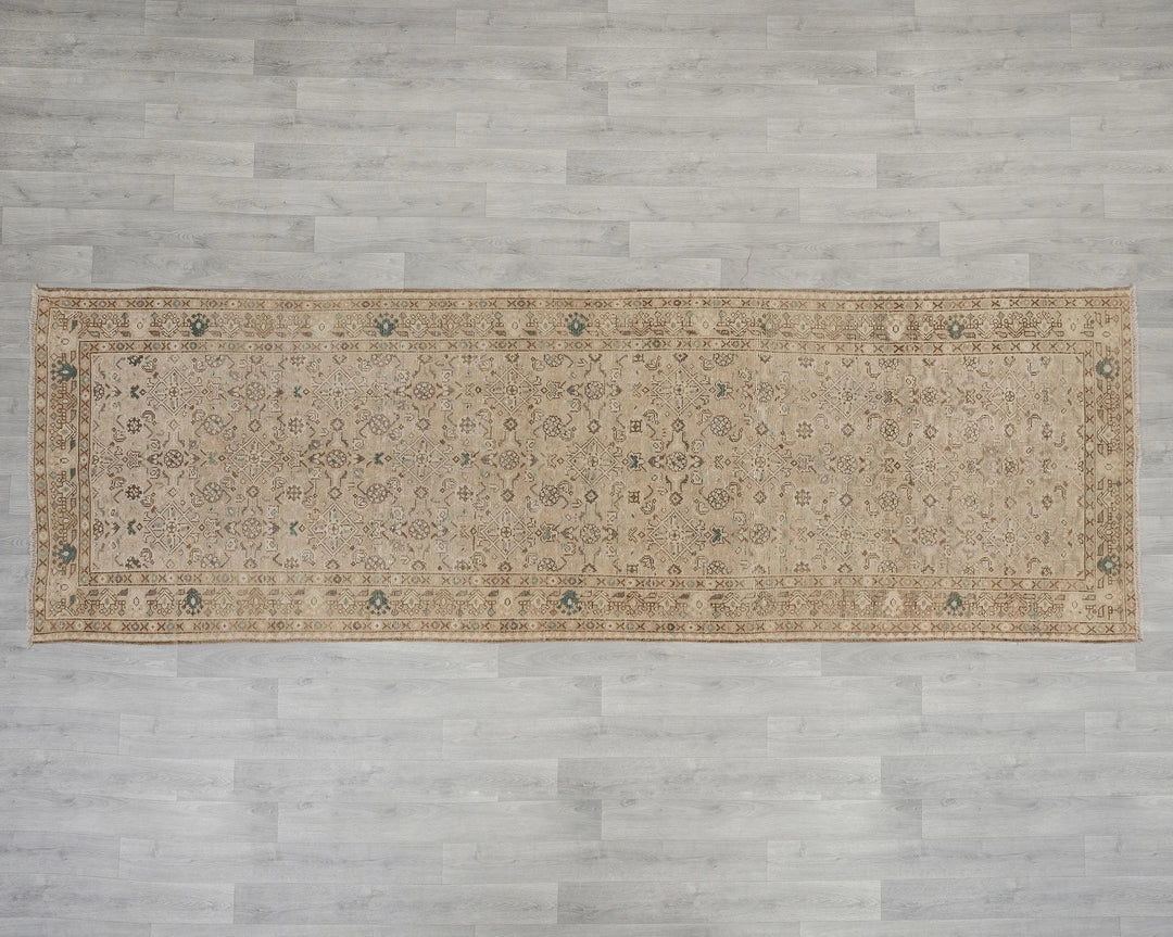 Beige Runner Rug 3' 9" x 11' 6" | No. VR40261