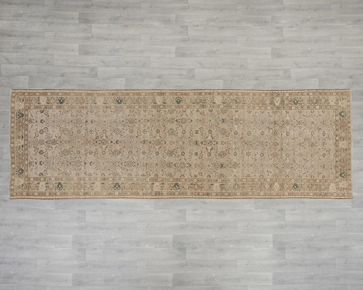 Beige Runner Rug 3' 9" x 11' 6" | No. VR40261