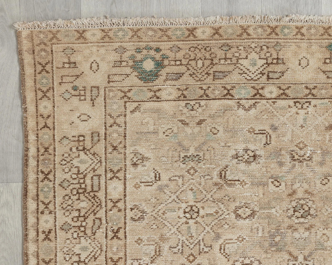 Beige Runner Rug 3' 9" x 11' 6" | No. VR40261
