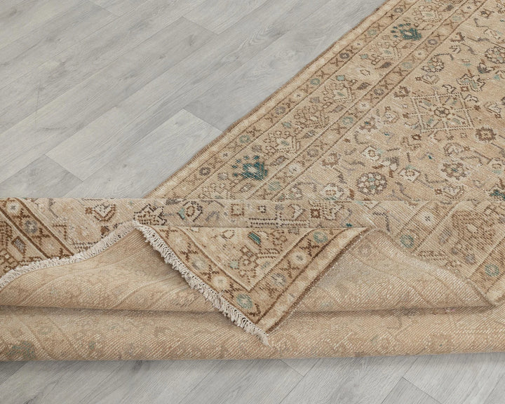Beige Runner Rug 3' 9" x 11' 6" | No. VR40261