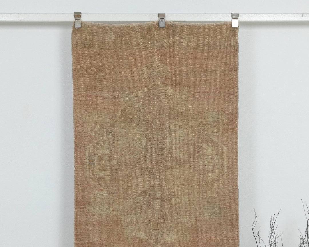 Beige Runner Rug 2' 11" x 11' 7" | No. VR41892