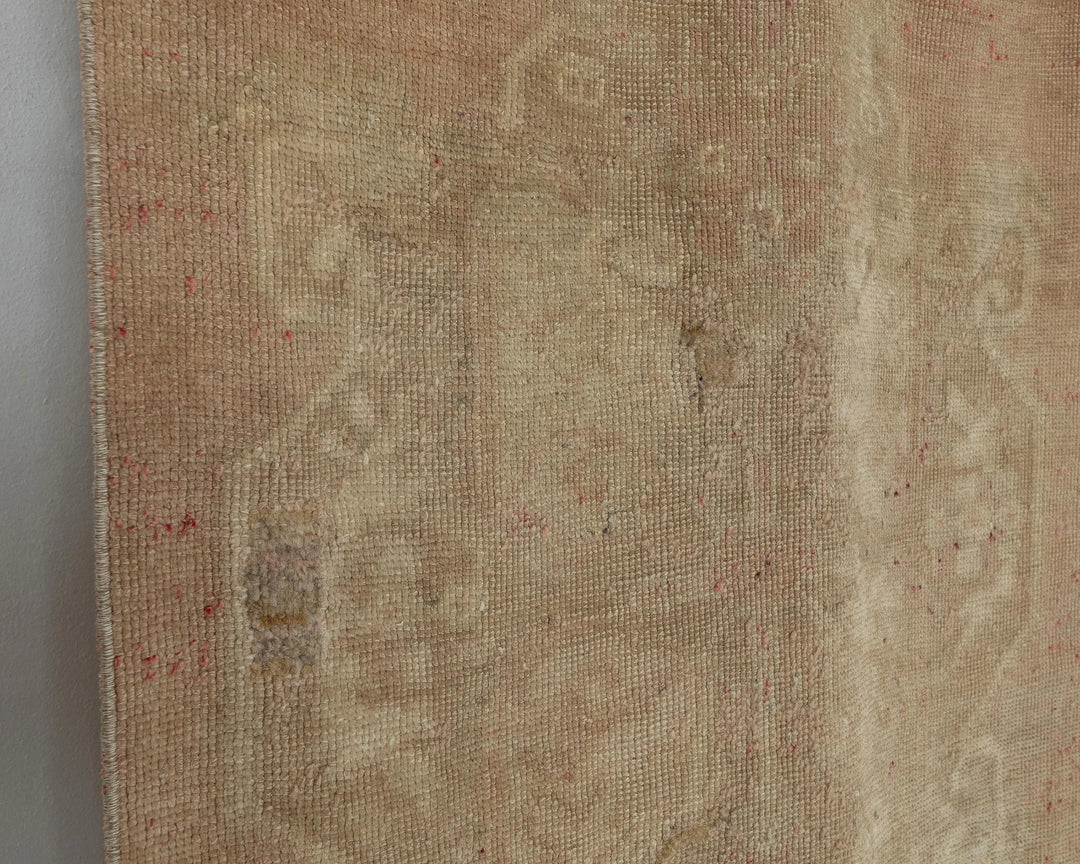 Beige Runner Rug 2' 11" x 11' 7" | No. VR41892