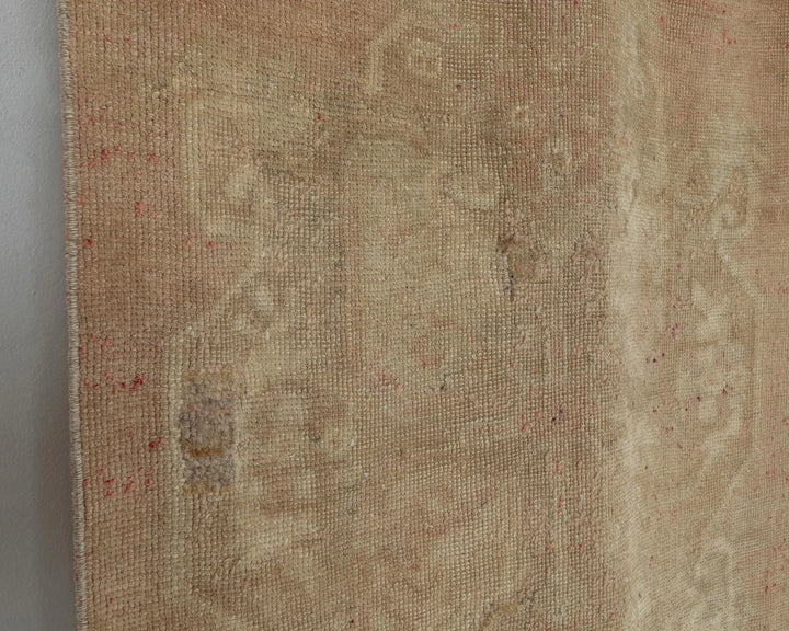 Beige Runner Rug 2' 11" x 11' 7" | No. VR41892