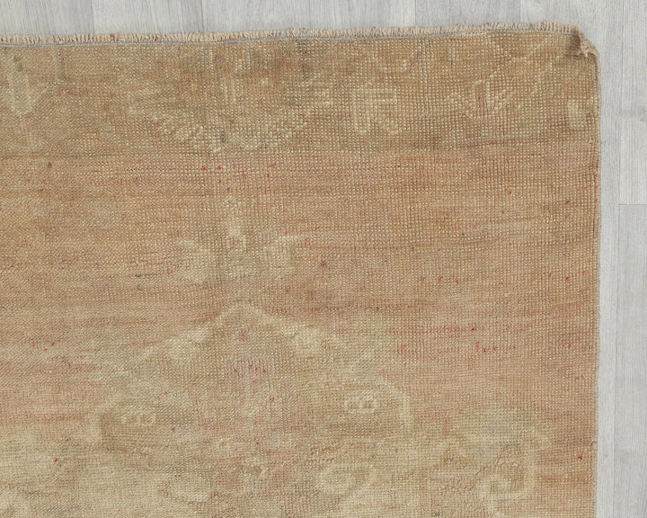 Beige Runner Rug 2' 11" x 11' 7" | No. VR41892