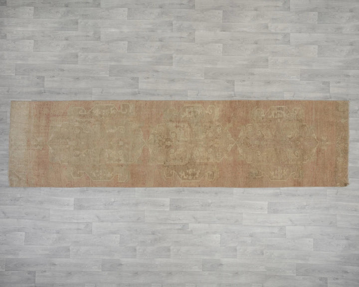 Beige Runner Rug 2' 11" x 11' 7" | No. VR41892