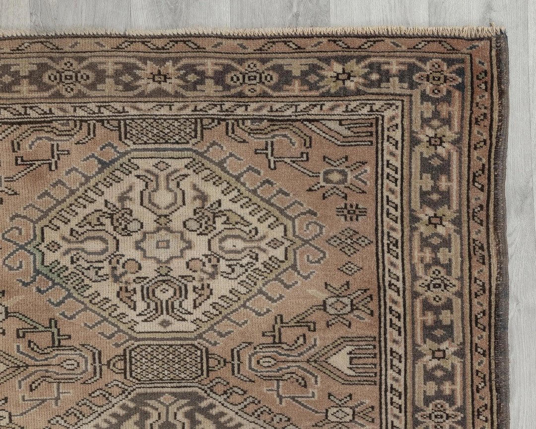 Runner Rug 2' 9" x 8' 11" | No. VR45518