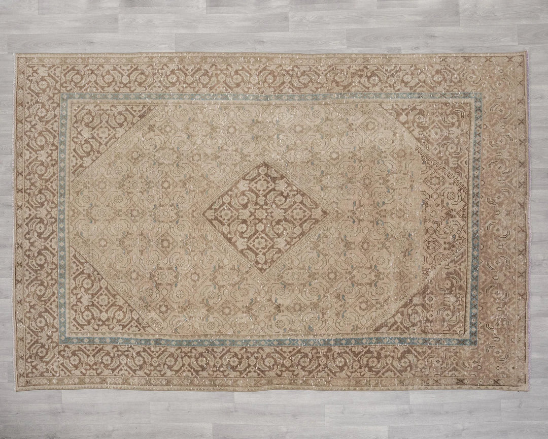 Beige Turkish Oushak Rug 6'9" x 9'8" Hand-Knotted | No. VR47879
