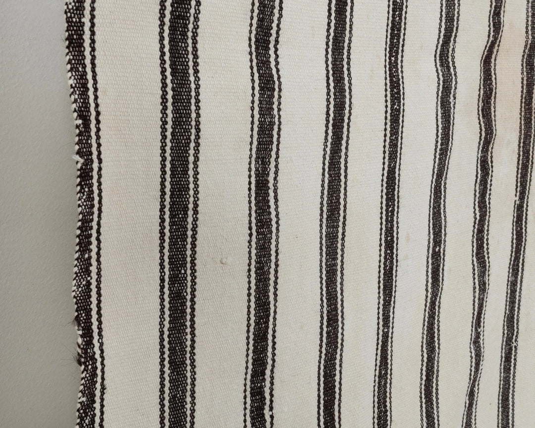 Ivory Runner Rug 2' x 14' | No. VR48360