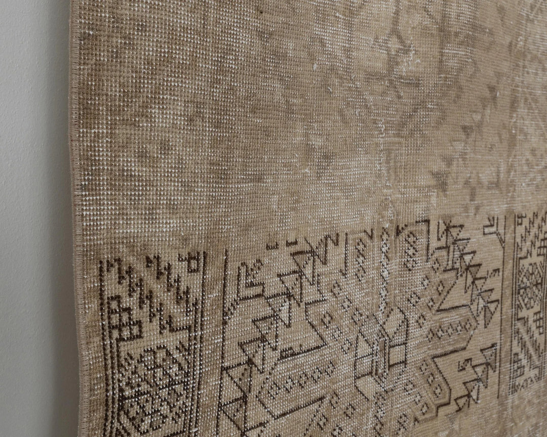 Runner Rug 3' 5" x 13' 9" | No. VR54703