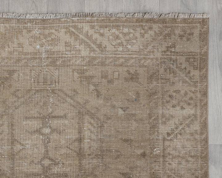 Runner Rug 3' 5" x 13' 9" | No. VR54703