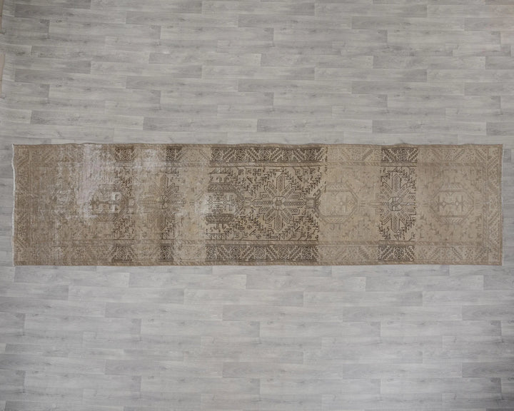 Runner Rug 3' 5" x 13' 9" | No. VR54703