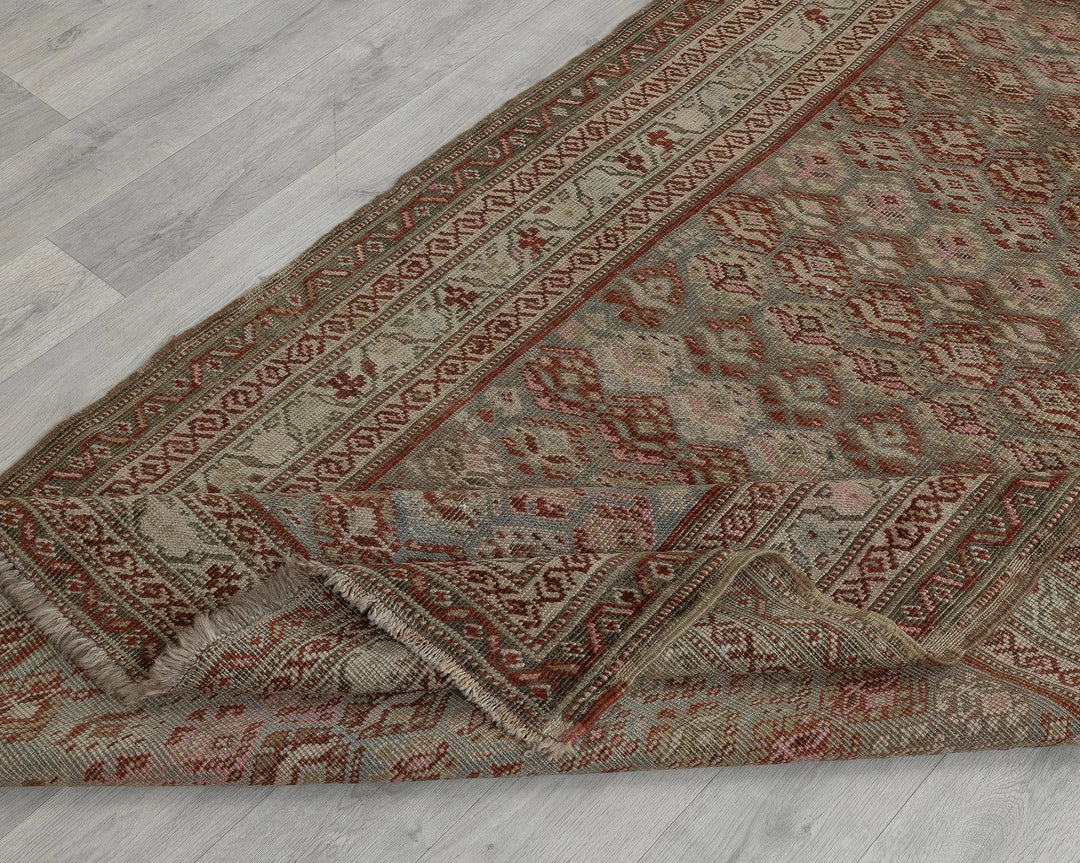 Brown Runner Rug 3' 9" x 11' 4" | No. VR58941