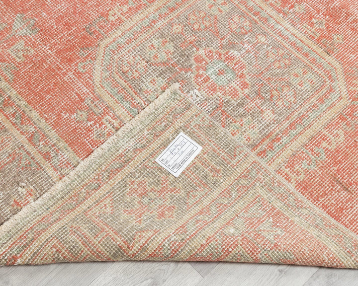 Runner Rug 3' 2" x 11' 7" | No. VR59550