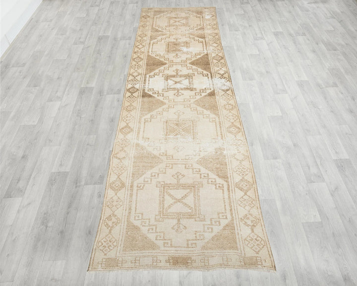 Runner Rug 4' 3" x 10' 1" | No. VR60608