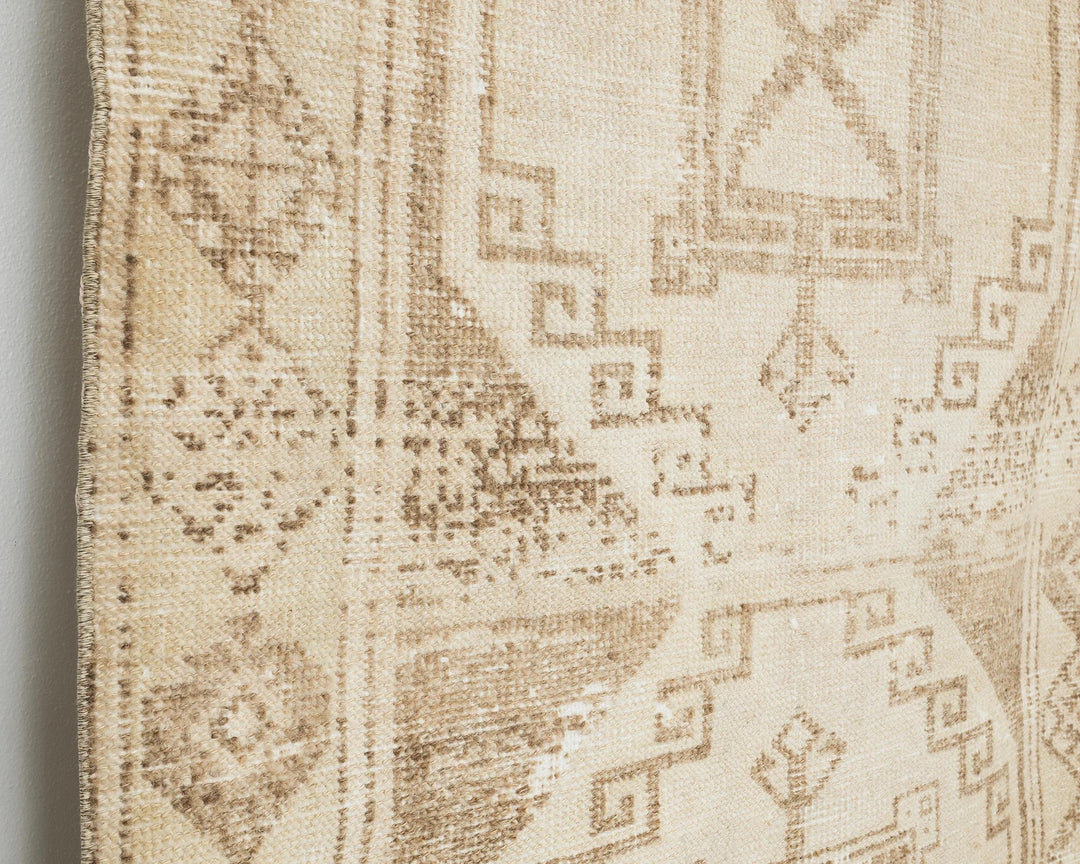 Runner Rug 4' 3" x 10' 1" | No. VR60608