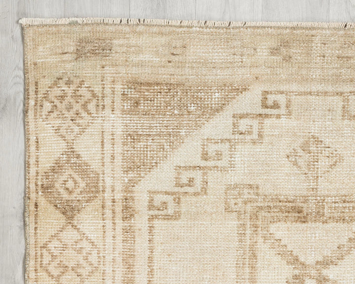 Runner Rug 4' 3" x 10' 1" | No. VR60608