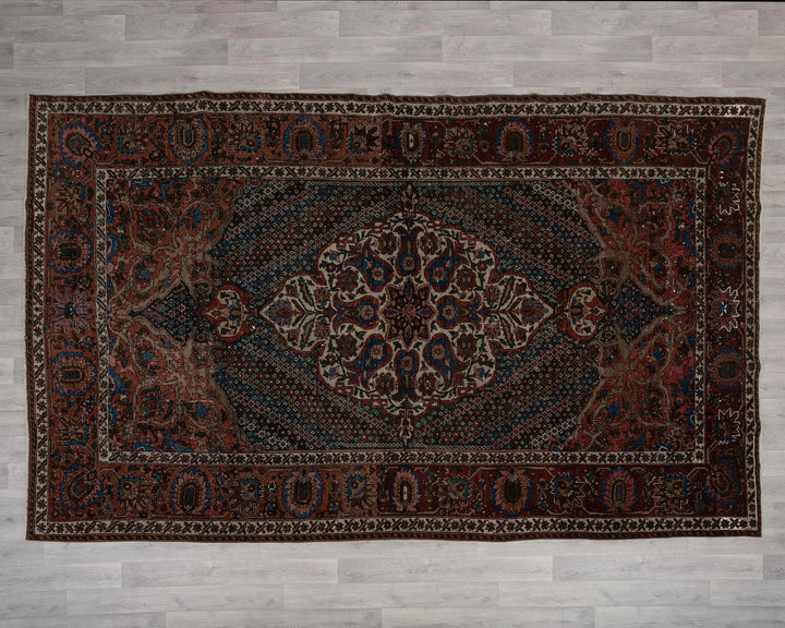 Rust Turkish Oushak Rug 7' x 11' 2" Hand-Knotted | No. VR64360
