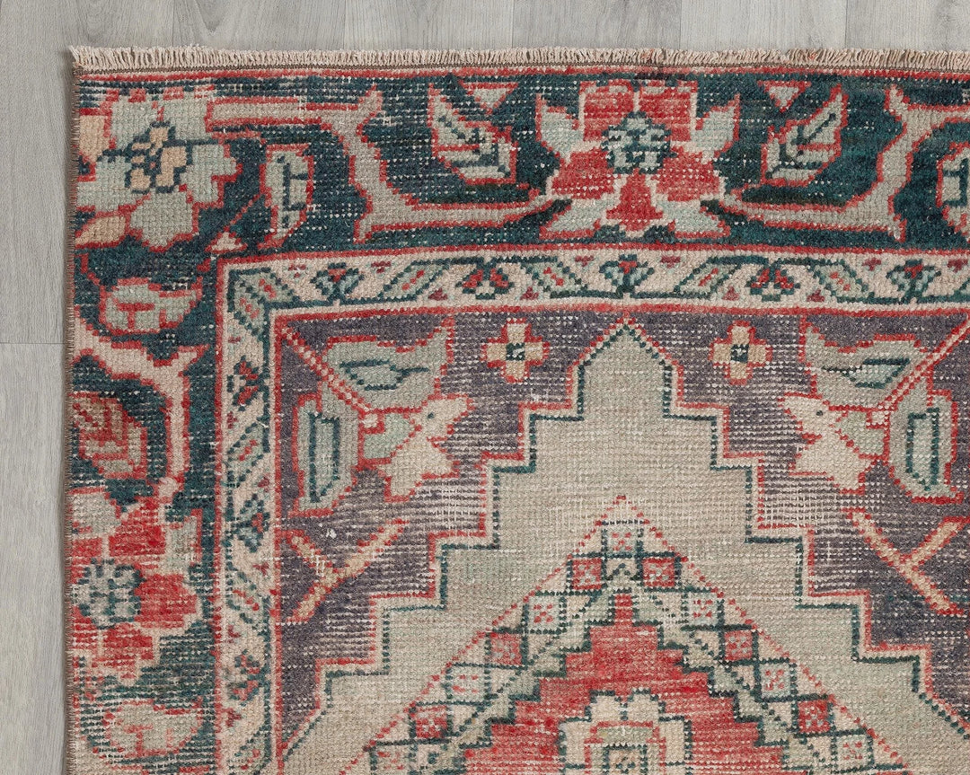 Multicolor Turkish Oushak Rug 2'9" x 9' Hand-Knotted border