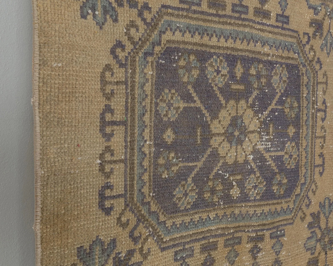 Beige Runner Rug 2' 7" x 10' 10" | No. VR69376