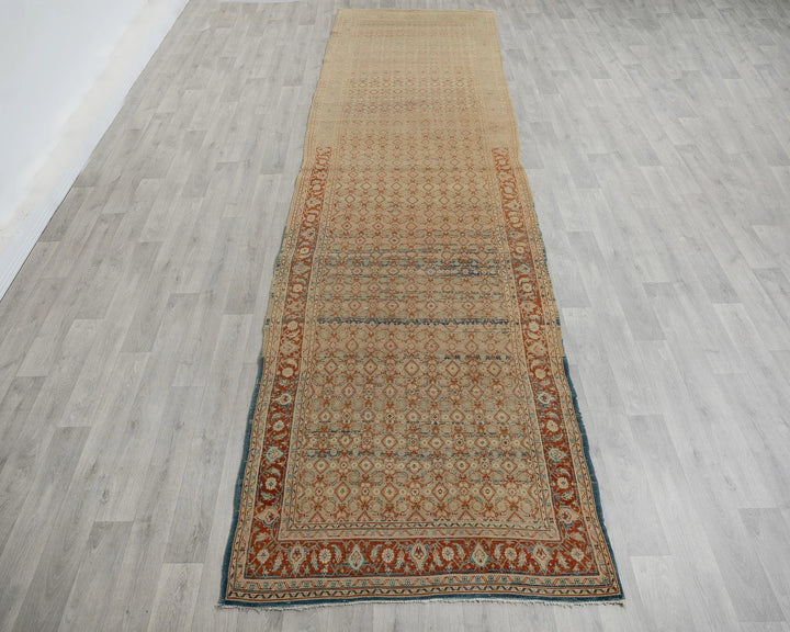 Blue Runner Rug 3' 10" x 14' 4" | No. VR77450